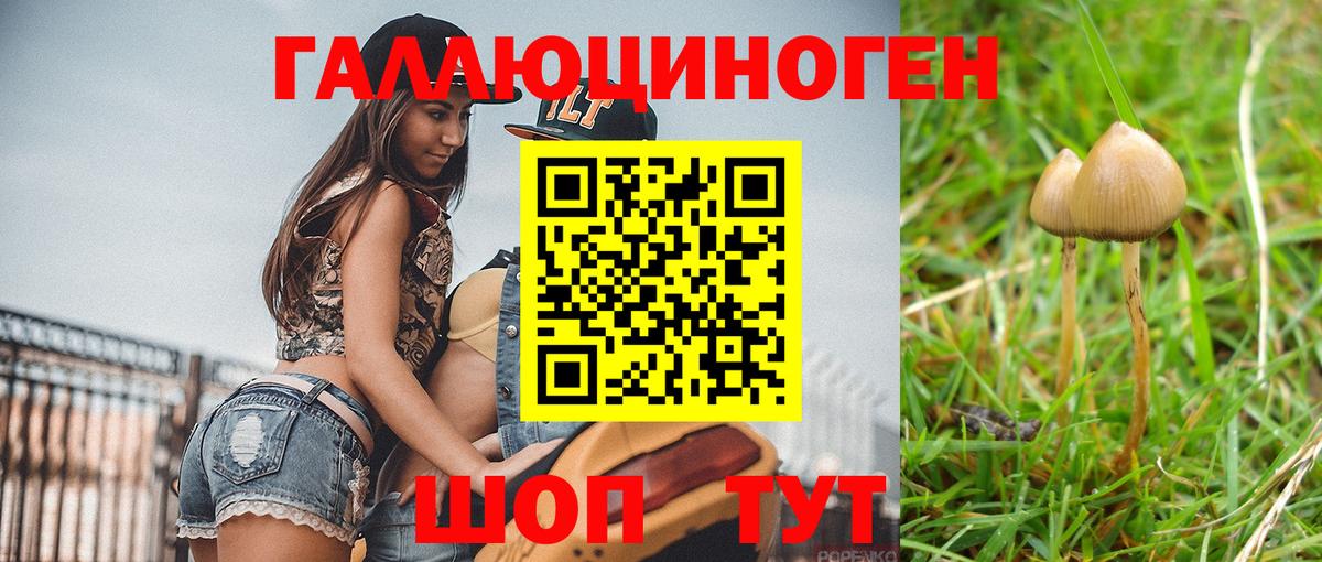 Псилоцибиновые грибы ЛСД Дубна